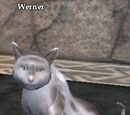 Werner
