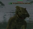 The Creature from the Black Pond
