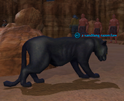 A sandfang razorclaw
