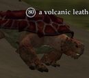A volcanic leatherback