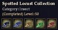 CQ insect spottedlocust Journal.jpg