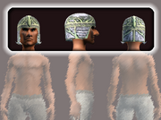 Vagabond's Chain Helmet (Equipped)