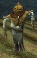 Race scarecrow.jpg