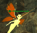 A Whisperwind mystic