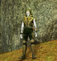 Aery Hunter IV (Apprentice)