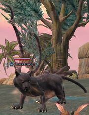 Darkstrider