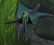 Fayfly