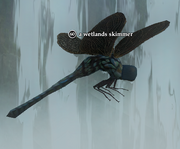A wetlands skimmer