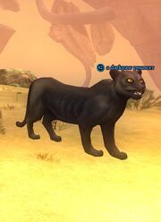 A darkpaw pouncer