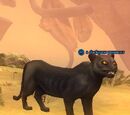 A darkpaw pouncer