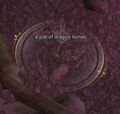 A pile of dragon bones.jpg