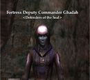 Fortress Deputy Commander Ghadah