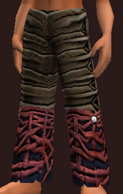Magus's Spellbound Weave Leggings of Blasting (Equipped)