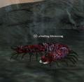 A boiling blistercrag.png