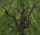 A corrupted sapling