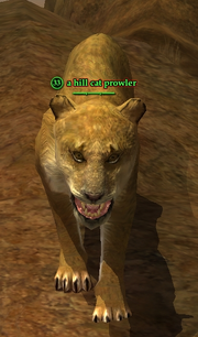 A hill cat prowler