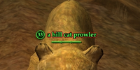 A hill cat prowler