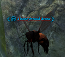A honeybrood drone