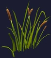 Cattails (Visible).jpg