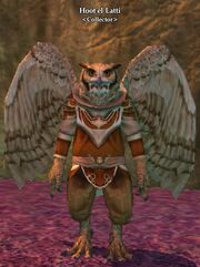 Hoot'el Latti