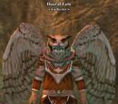 Hoot'el Latti