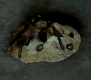 Picking Up the Broken Pieces