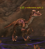 A withertalon alpha