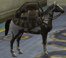 Artisan's Fully Trained Pack Pony