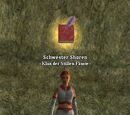 Sister Shoren (Mediation)