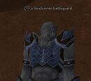 A Steelcrown battleguard