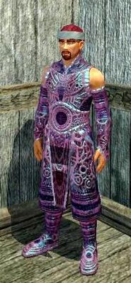 Woven Shadow (Armor Set) (Visible, Male)