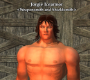 Jorgie Icearmor