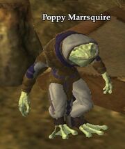 Poppy Marrsquire
