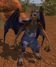 A Windsister razorfeather