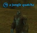 A jungle quatcha