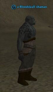 A Bloodskull shaman