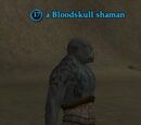 A Bloodskull shaman