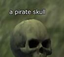 A pirate skull