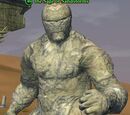 The Sage of Sandstorms