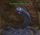 A Naruem sister seer