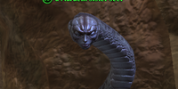 A Naruem sister seer