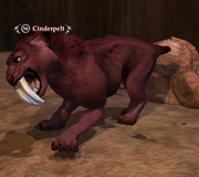 Cinderpelt
