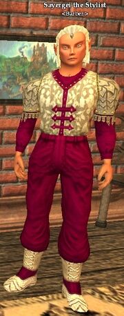Sayergei the Stylist