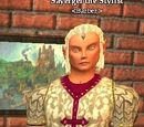 Sayergei the Stylist
