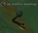An erollisi mantrap