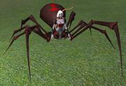 Race drachnid