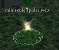 Miniscule spider silks.jpg