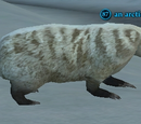 An arctic badger