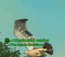 A Mysticwood watcher