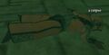 A corpse.jpg